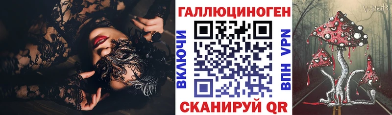 Галлюциногенные грибы ЛСД  магазин продажи наркотиков  Котельнич 