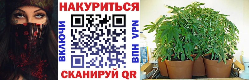 Каннабис семена  Котельнич 
